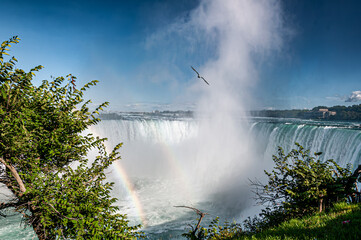 A stunning view of Horseshoe Falls at Niagara with mist rising high and a vivid rainbow arching over the powerful water, framed by green foliage and a flying bird.
