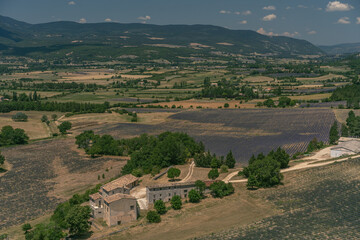 Champs de Lavande et vue générale de la Provence 