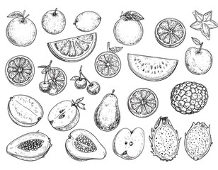 Hand-drawn fruit slices and whole fruits