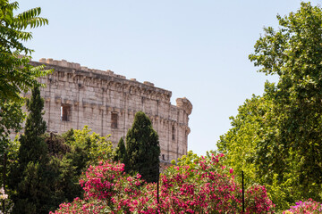 Ancient Roman Stone Wall Surrounded by Trees and Flowers in Rome.
Part of ancient Roman...