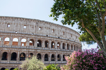 Colosseum in Rome Framed by Trees and Flowers on Sunny Day. Panoramic view of Colosseum in Rome, Italy with blooming trees and clear sky on a sunny summer day