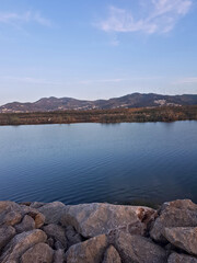 Scenes of the city suburbs unfold on the riverbank, where a group of seagulls gather on the riverbank, accompanied by rolling hills that gently swirl in the distance.