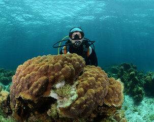 Buzo en arrecife de coral