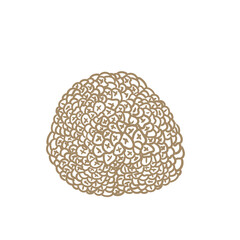 Original hand-drawn illustrations of truffle mushrooms in a minimalist style. Mushroom illustrations for posters, cards, and graphic design.