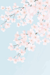Cherry Blossom Floral Frame on Pale Blue Background for Vector Presentation and Decorative Design