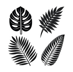 Set of Four Tropical Leaves in Black Silhouette Style including Monstera Palm and Fern perfect for summer designs backgrounds patterns and botanical illustrations isolated on