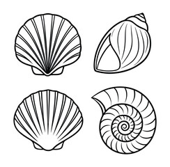 Set of Four Different Seashell Outlines Including Scallop Shells and a Spiral Shell on a White Background Perfect for Coloring Pages or Marine Illustrations