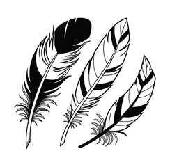 Elegant Black and White Feather Illustration A Collection of Three Stylized Feathers with Intricate Details Perfect for Bohemian Designs Tribal Art or Minimalist Graphic Projects