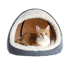 Cute orange Cat Lounging in Plush Enclosed Pet Bed Providing Warmth and Comfort Isolated on Transparent Background.