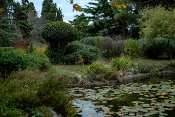 A serene garden scene with a pond surrounded by lush greenery and various plants. Water lilies float on the surface, creating a tranquil atmosphere.