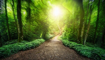 radiant green energy illuminating forest dark path