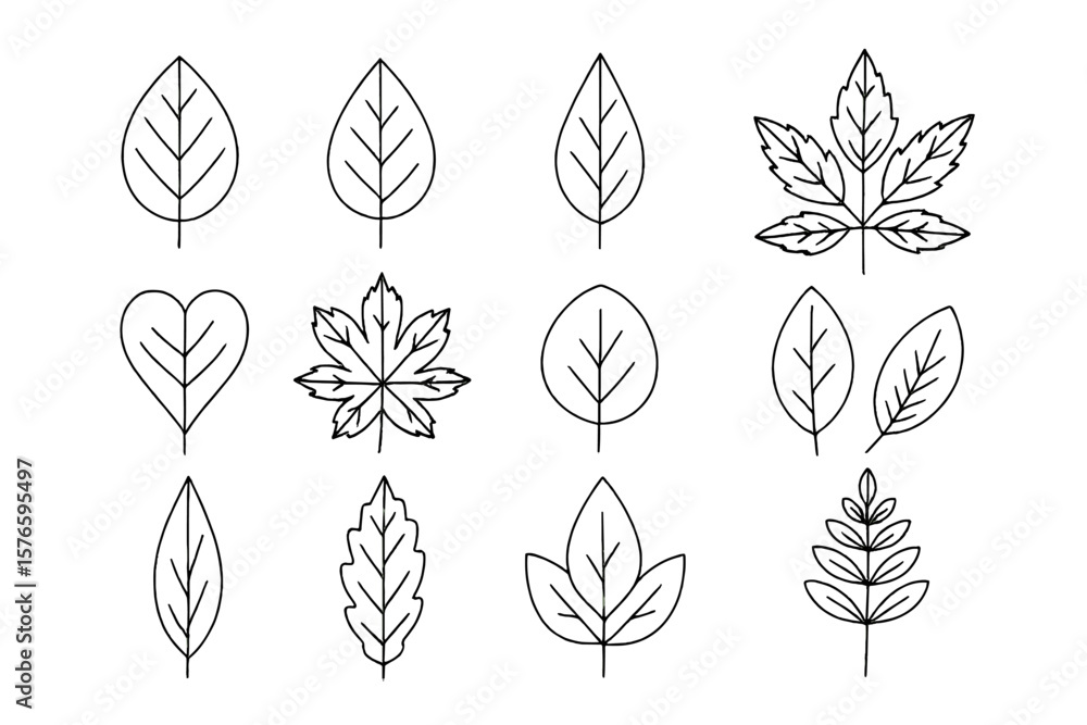Aufkleber hand drawn tree leaf outline icon set. linear botanical art. assorted leaf sketches. transparent vec