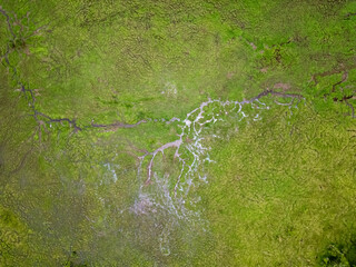 Aerial view of a green marshland with shallow streams running through it