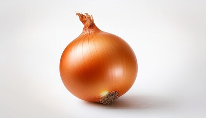 single brown onion isolated on white background n fresh whole vegetable illustration