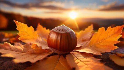 a hazelnut rests in the center of a circle of autumn leaves at sunset creating a serene autumnal scene