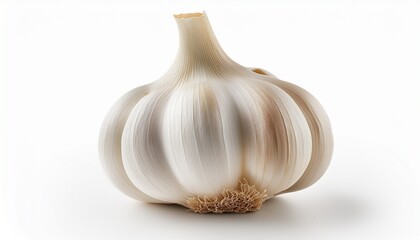 a fresh garlic bulb with natural texture and delicate papery skin isolated on a clean white background