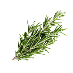 Fototapeta premium Rosemary isolated on white background, Top view, generative ai.