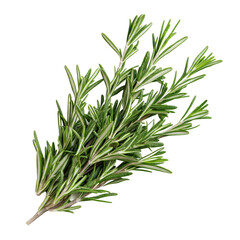 Fototapeta premium Rosemary isolated on white background, Top view, generative ai.