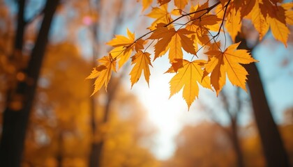 Vibrant golden autumn leaves frame a sunlit forest path. This tranquil natural scene captures the of fall foliage, offering a peaceful atmosphere for inspirational quotes or backgrounds.