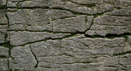 Obraz premium Cracked stone surface with greenery in natural texture 
