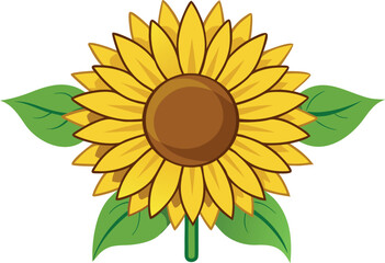 sunflower isolated on white background