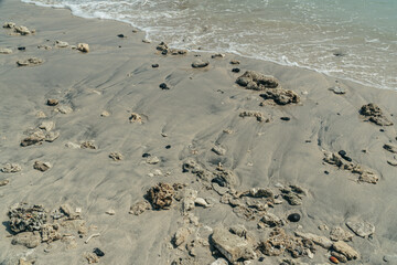 Corals on white beach sand.