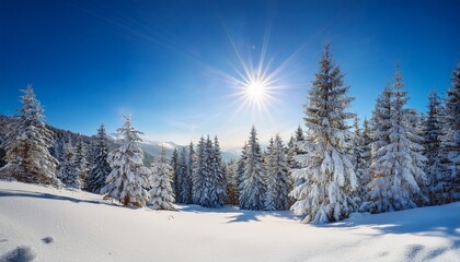 bright sun shining over beautiful snow covered pine trees in a mountain forest during a sunny winter morning creating a magical atmosphere under bright blue sky winter wild nature travel background