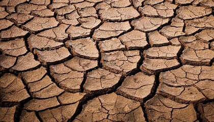 cracked dry soil texture