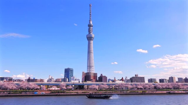満開の桜の隅田川　東京春風景