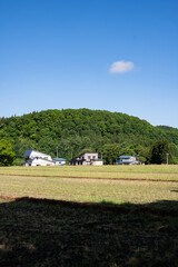 日本の田舎で見える田園風景