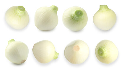 Fototapeta premium Fresh ripe onions on white background, collage