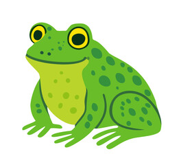Cute froggy. Vector isolated illustration