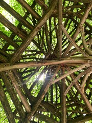 roof of gazebo in central park