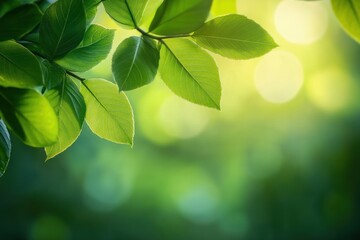 Obraz premium Close-up of vibrant green leaves with detailed veins against a soft, blurred natural background creating a peaceful and fresh atmosphere