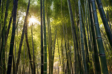 Fototapeta premium Photo of sunlight streams through a dense bamboo forest creating a serene atmosphere