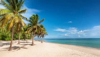 tropical palm trees line a sandy beach inviting relaxation under the summer sky