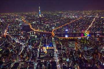 人形町上空よりスカイツリーを望む・Aerial View