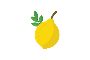 Etrog Fruit With Lulav Branch Flat Vector On White Background