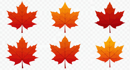 Fototapeta premium Beautiful seamless pattern of colorful maple leaves in autumn shades for background design