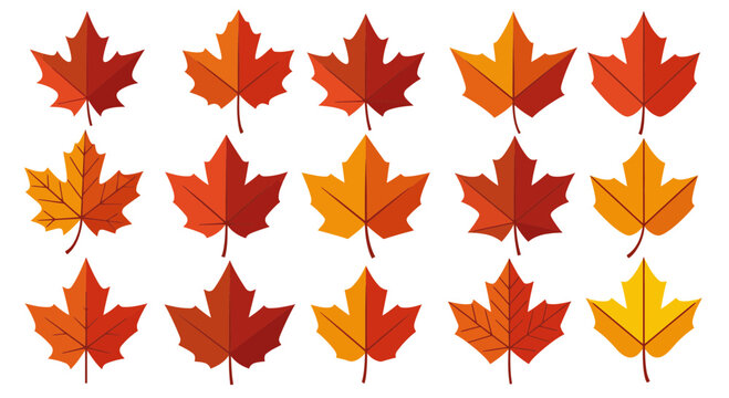 Autumn maple leaves seamless pattern in different shades of red and orange color