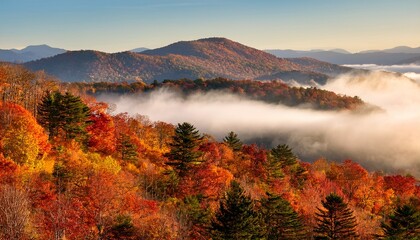 the appalachian mountains in autumn forest covered in red and orange hues mist rolling in
