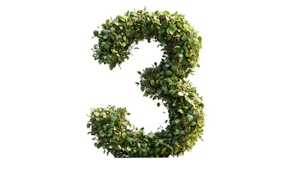 The number three is illustrated with neatly arranged green leaves	