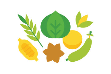 Vector Illustration Of A Set Of Herbs And Spices For Design
