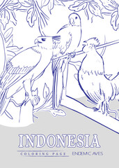 Tourism sketch illustration of endemic birds