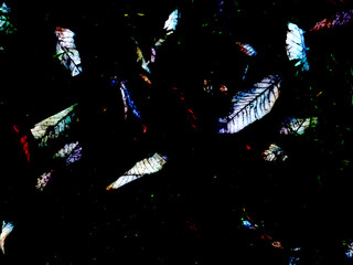 Fallen Dry Leaves Illustration. Autumnal Darkness Art. Illustration of fallen dry leaves in the darkness.