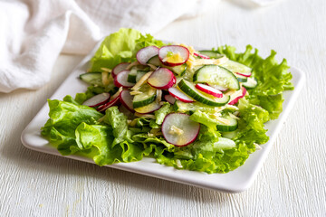 Vegetarian spring organic salad with fresh radish, cucumber and lettuce leaves with olive oil on white plate. Healthy eating