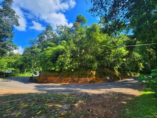 The road is surrounded by green trees and blue sky with clouds.