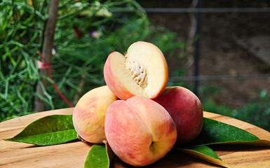Fresh peaches on a plate in the garden