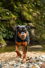 Fototapete bei efototapeten.de bestellen   