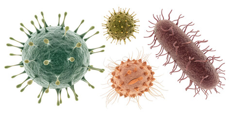 Fototapeta premium different germs, isolated PNG transparent background